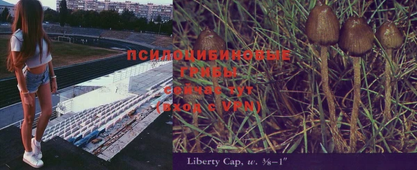 трава Балахна